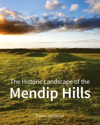 The Historic Landscape of the Mendip Hills 1