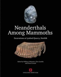 bokomslag Neanderthals Among Mammoths