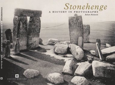 bokomslag Stonehenge