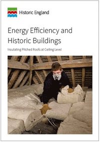 bokomslag Energy Efficiency and Historic Buildings