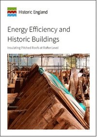 bokomslag Energy Efficiency and Historic Buildings