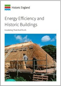 bokomslag Energy Efficiency and Historic Buildings