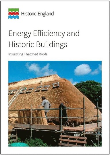 bokomslag Energy Efficiency and Historic Buildings