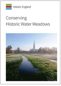 bokomslag Conserving Historic Water Meadows