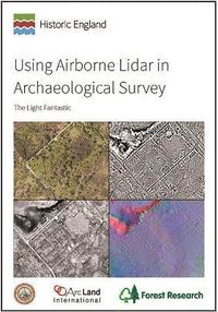 bokomslag Using Airborne Lidar in Archaeological Survey