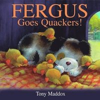 bokomslag Fergus Goes Quackers