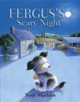 bokomslag Fergus's Scary Night
