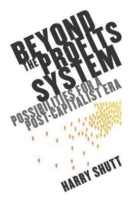 bokomslag Beyond the Profits System