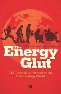 bokomslag The Energy Glut: The Politics of Fatness in an Overheating World