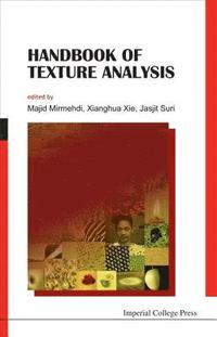 bokomslag Handbook Of Texture Analysis