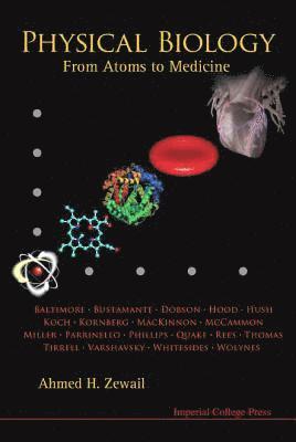 bokomslag Physical Biology: From Atoms To Medicine