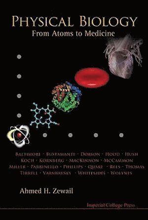 bokomslag Physical Biology: From Atoms To Medicine