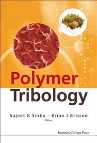 bokomslag Polymer Tribology