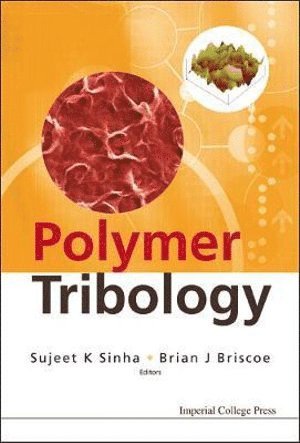 Polymer Tribology 1