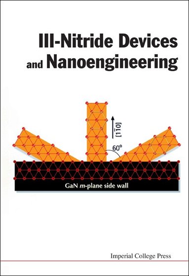 FENG ZHE CHUAN, Zhe Chuan Feng - III-NITRIDE DEVICES AND NANOENGINEERING, Inbunden