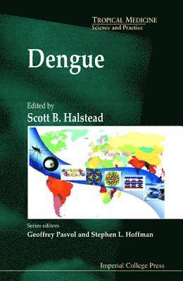 bokomslag Dengue