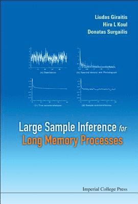 bokomslag Large Sample Inference For Long Memory Processes