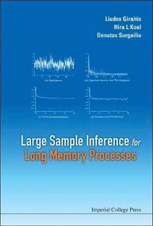 Donatas Surgailis, Hira L Koul, Liudas Giraitis, Hira L. Koul, GIRAITIS LIUDAS, Giraitis Liudas - Large Sample Inference For Long Memory Processes, Inbunden