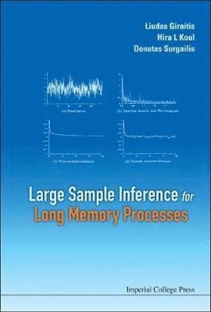 Large Sample Inference For Long Memory Processes 1