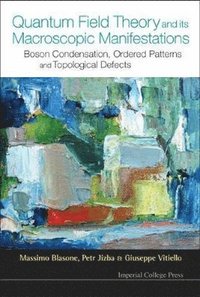 bokomslag Quantum Field Theory And Its Macroscopic Manifestations: Boson Condensation, Ordered Patterns And Topological Defects