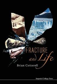 bokomslag Fracture And Life