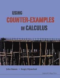 bokomslag Using Counter-examples In Calculus