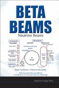 bokomslag Beta Beams: Neutrino Beams