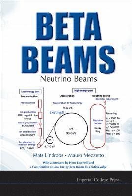 bokomslag Beta Beams: Neutrino Beams