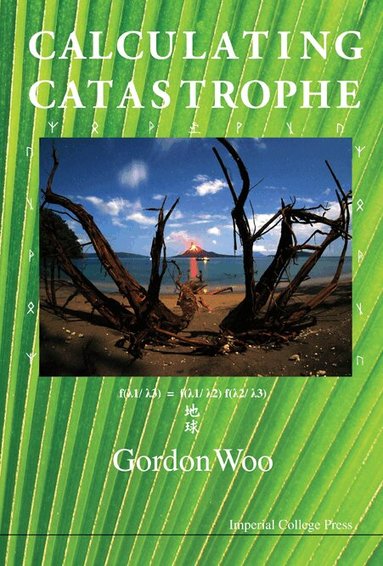 Gordon Woo - CALCULATING CATASTROPHE, Häftad