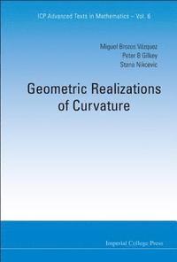 bokomslag Geometric Realizations Of Curvature
