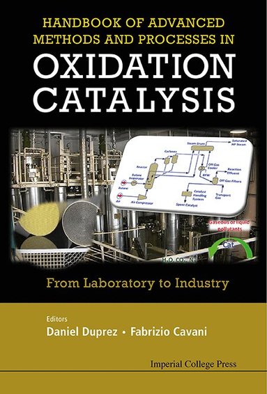 DUPREZ DANIEL, Daniel Duprez, Fabrizio Cavani - HANDBOOK OF ADVANCED METHODS AND PROCESSES IN OXIDATION CATALYSIS: FROM LABORATORY TO INDUSTRY, Inbunden