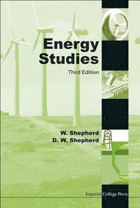 bokomslag Energy Studies (3rd Edition)