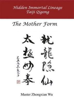 bokomslag Hidden Immortal Taiji Qigong: The Mother Form