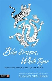 bokomslag Blue Dragon, White Tiger
