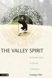 bokomslag The Valley Spirit