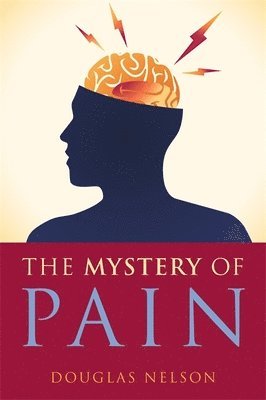 bokomslag Mystery of Pain