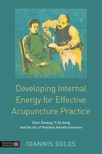 bokomslag Developing Internal Energy for Effective Acupuncture Practice