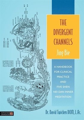 The Divergent Channels - Jing Bie 1