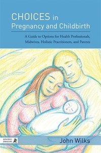 bokomslag Choices in Pregnancy and Childbirth