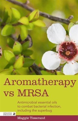 bokomslag Aromatherapy vs MRSA