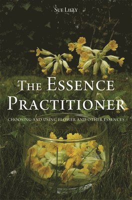The Essence Practitioner 1