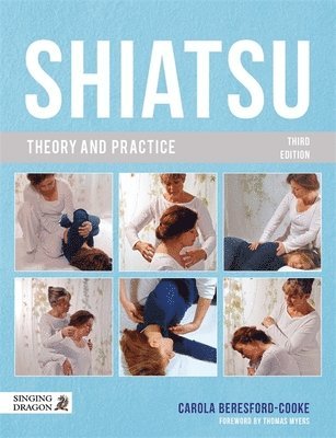 Shiatsu Theory and Practice 1