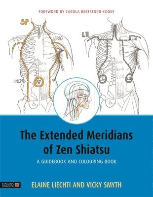 The Extended Meridians of Zen Shiatsu 1