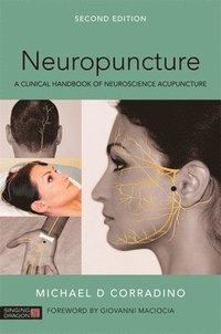 bokomslag Neuropuncture