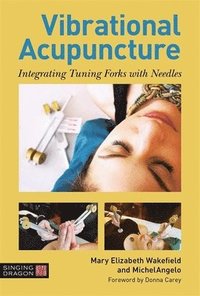 bokomslag Vibrational Acupuncture