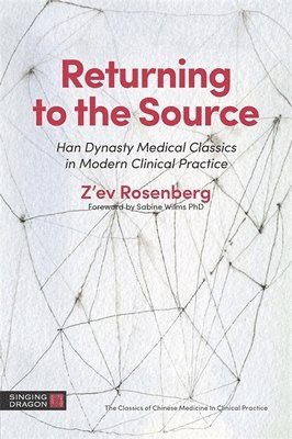 Z'ev Rosenberg - Returning to the Source, Häftad