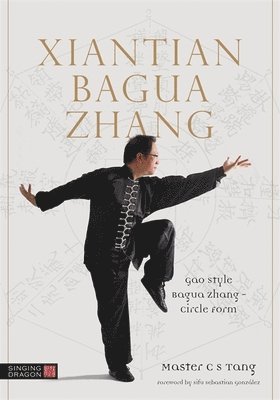 Xiantian Bagua Zhang 1