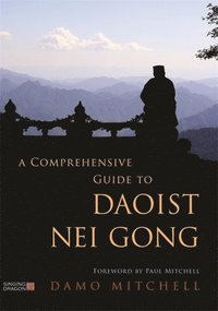 bokomslag A Comprehensive Guide to Daoist Nei Gong
