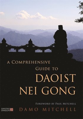 Damo Mitchell - Comprehensive Guide to Daoist Nei Gong, Häftad