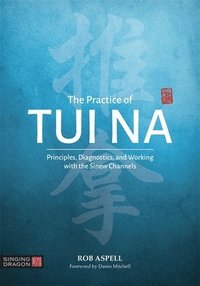 bokomslag The Practice of Tui Na